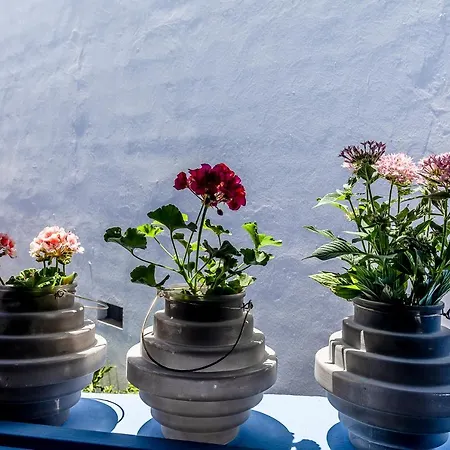 Lazurite Maspalomas Sur Gran Canaria